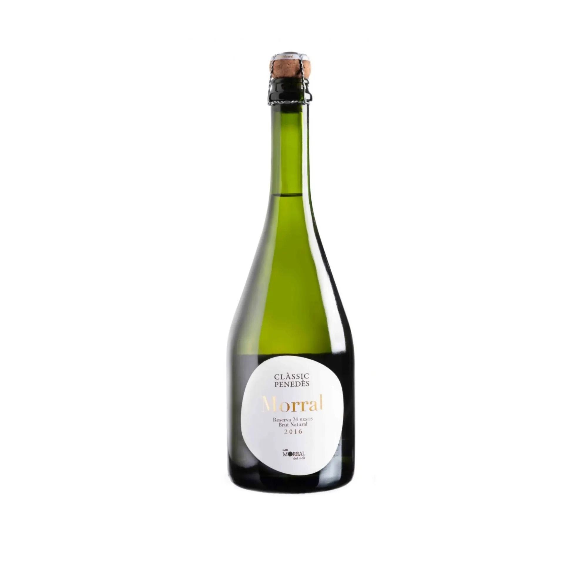 Morral 24m de Can Morral del molí