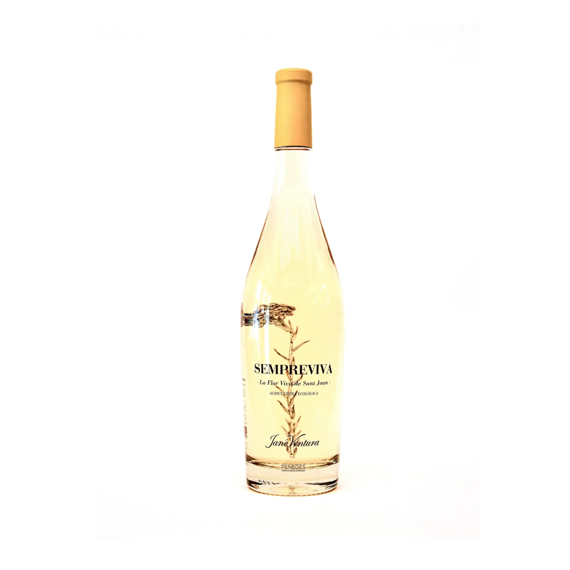 Sempreviva de Jané Ventura